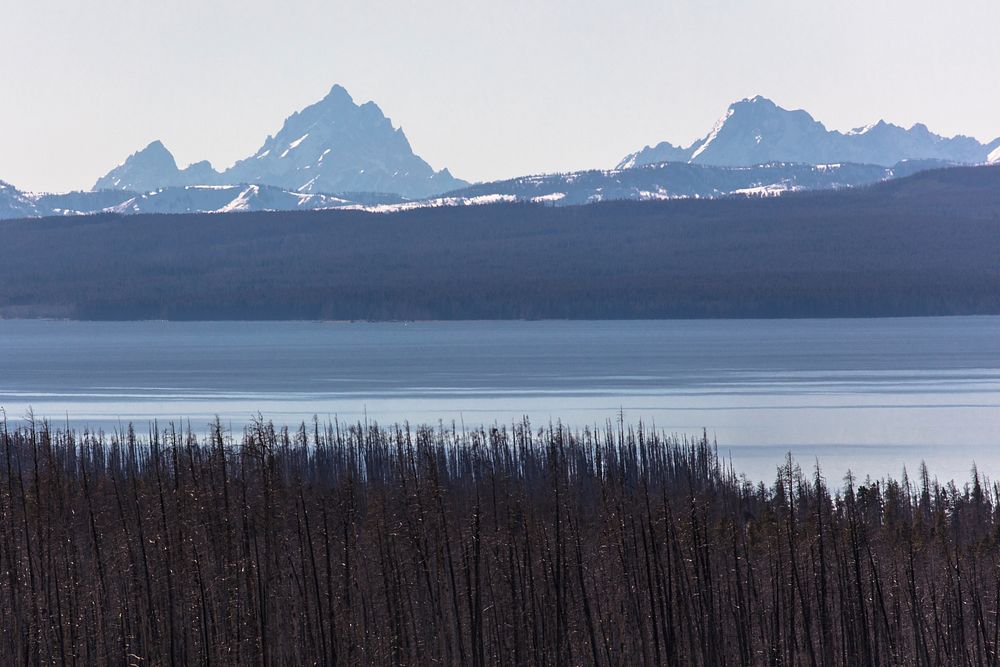 Grand Teton, Mount Moran, and Yellowstone Lake from the east entrance Road by Jacob W. Frank. Original public domain image…