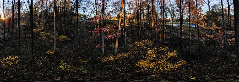 Aerial view of fall colors in Maryland, on Nov. 3. 2018. USDA Photo by Lance Cheung. Original public domain image from Flickr