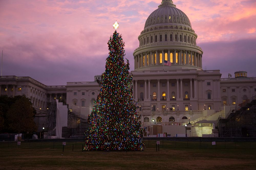 2016 Capitol Christmas TreeET5A9532_