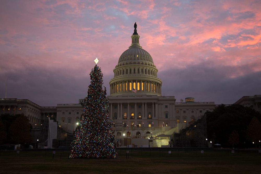 2016 Capitol Christmas Tree