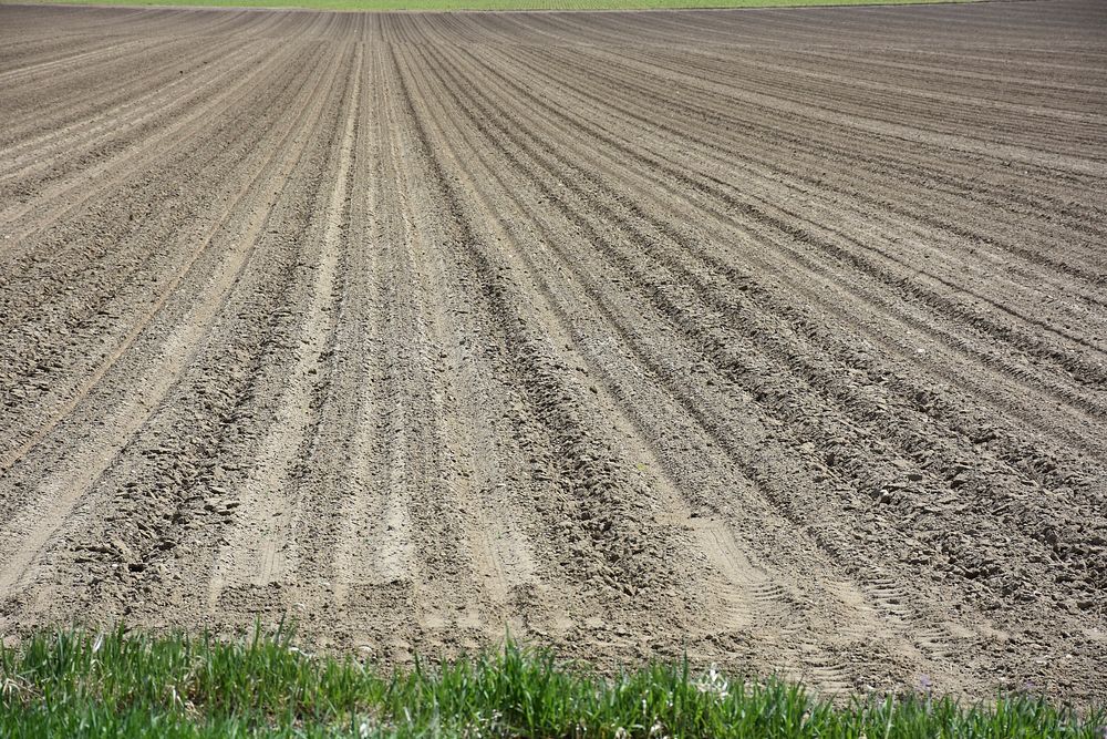Conventionally tilled sugar beet field near Greg Schlemmer's no-till farm. Experienced erosion in March 2018. Carbon County…