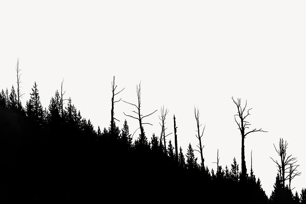 Forest silhouette border, nature photo psd
