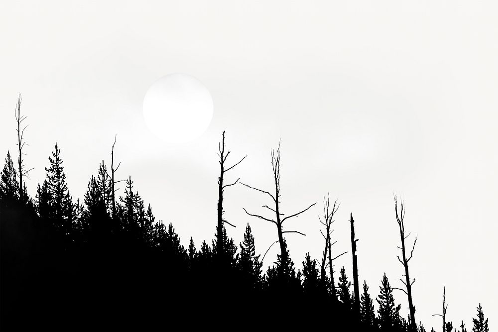Forest silhouette border, full moon photo