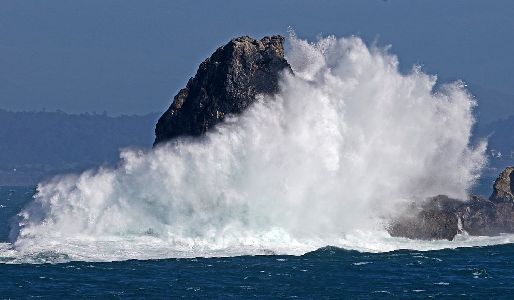 Piedras Blancas Light Station Outstanding Natural Area is located on a rugged windswept point of land six miles north of…