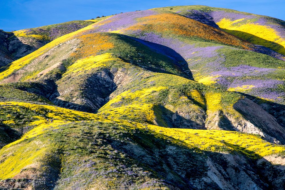 Carrizo Plain National Monument is one of the best kept secrets in California.