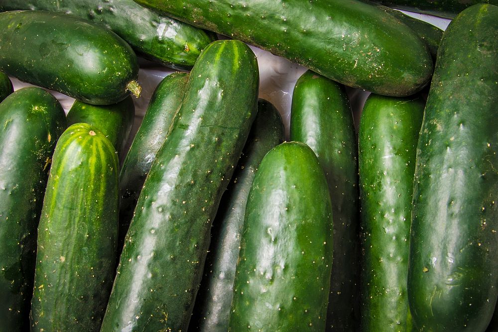 Vender cucumbers at the U.S. Department of Agriculture (USDA) farmers market at the USDA headquarters in Washington, D.C.…