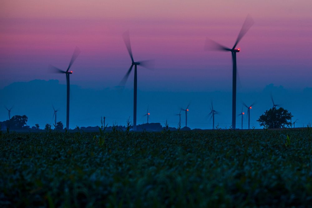 Wind turbines on the Bishop Hill wind farm operate among the corn and soybean fields near Bishop Hill, Ill., Sept. 14…