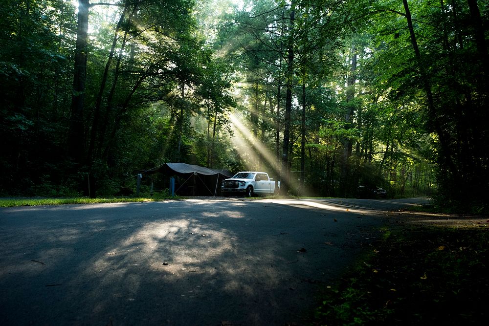 An early morning scene in Davidson River Campground, Pisgah National Forest, NC. (USDA photo by Lance Cheung). Original…