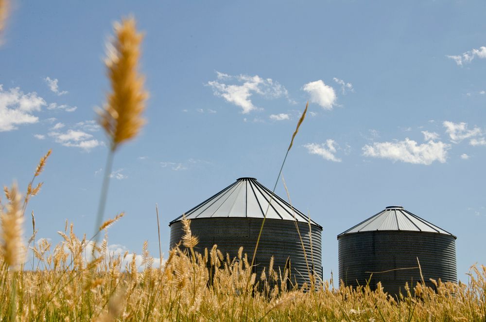 A scenic view of grain silos. Baker, MT. July 19, 2012. Original public domain image from Flickr