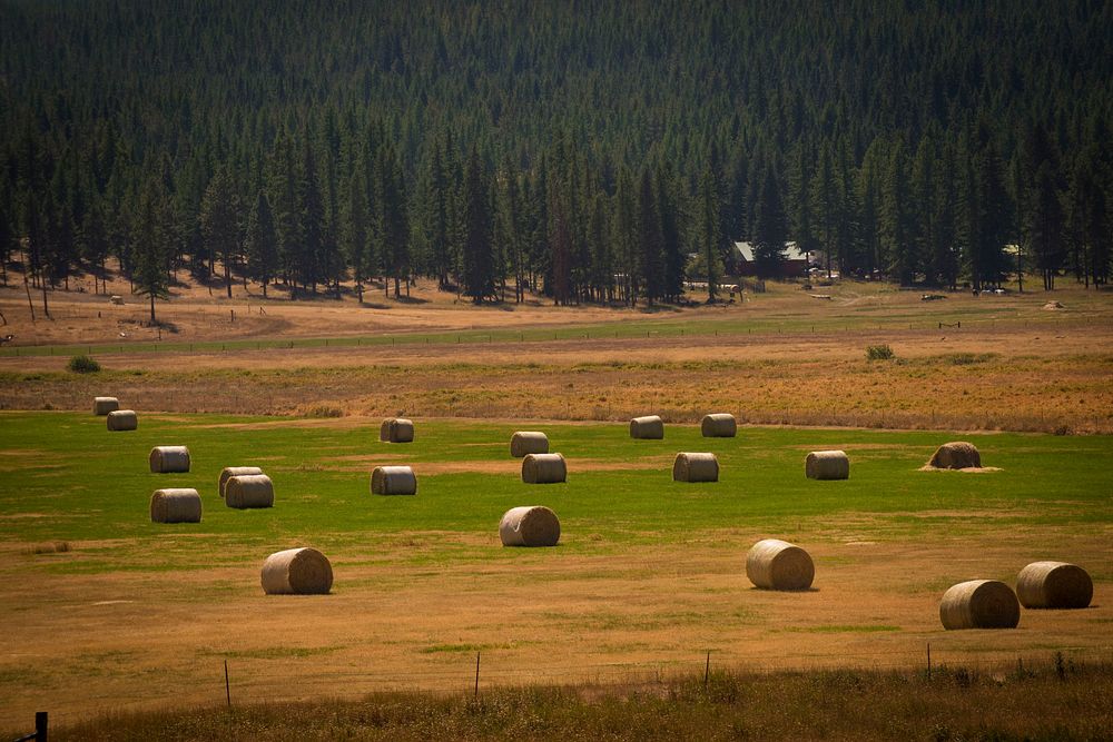 A hayfield in northwestern Montana. Flathead County, Montana. August 2017. Original public domain image from Flickr