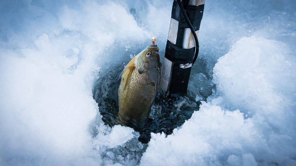 Fishermen often use snowmobile, ice auger and a depth finder to fish on Bass Lake in the U.S. Department of Agriculture…