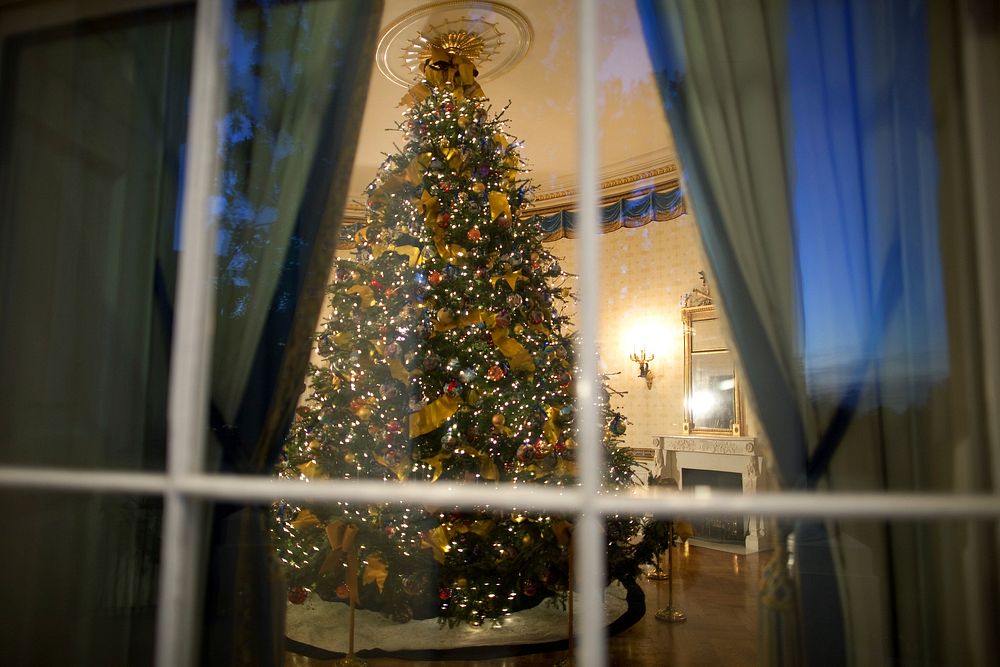 White House Christmas Tree, an 18 1/2 foot Douglas-fir, is seen through a window in the Blue Room of the White House, Dec.…