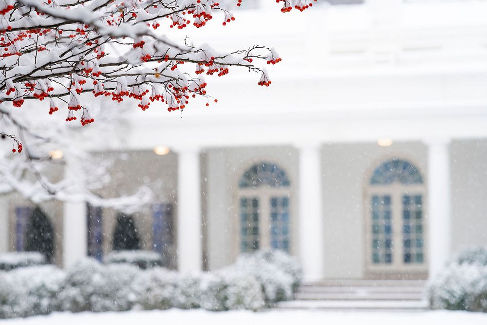 The White House Grounds Covered in Snow on January 13, 2019The Rose Garden of the White House is seen covered in snow…