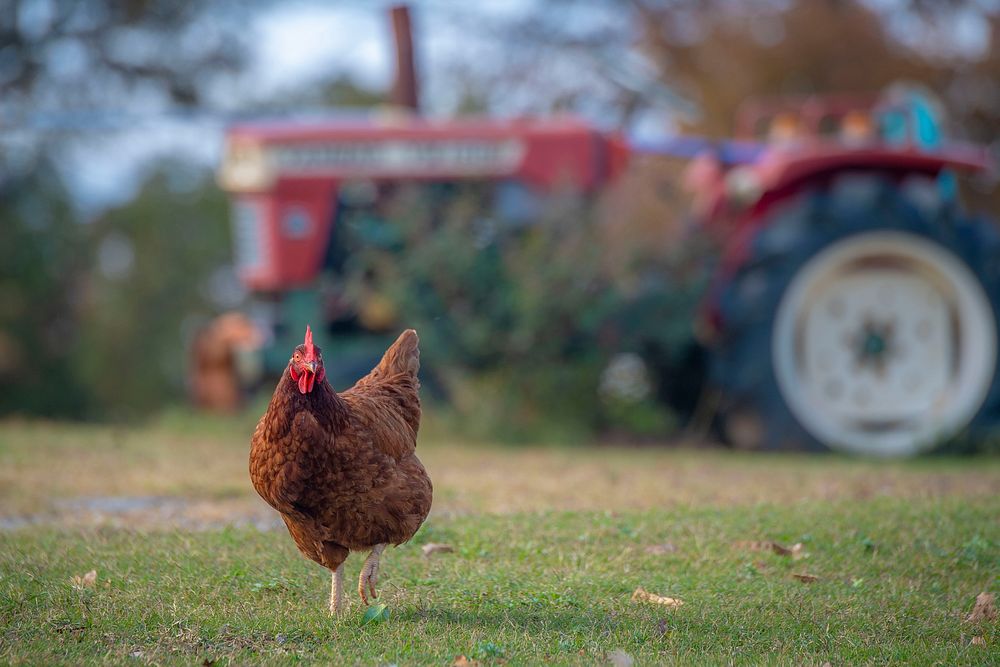 Native American farmer and retired teacher Jerri Parker grew up on in agriculture, but now she operates her diversified farm…