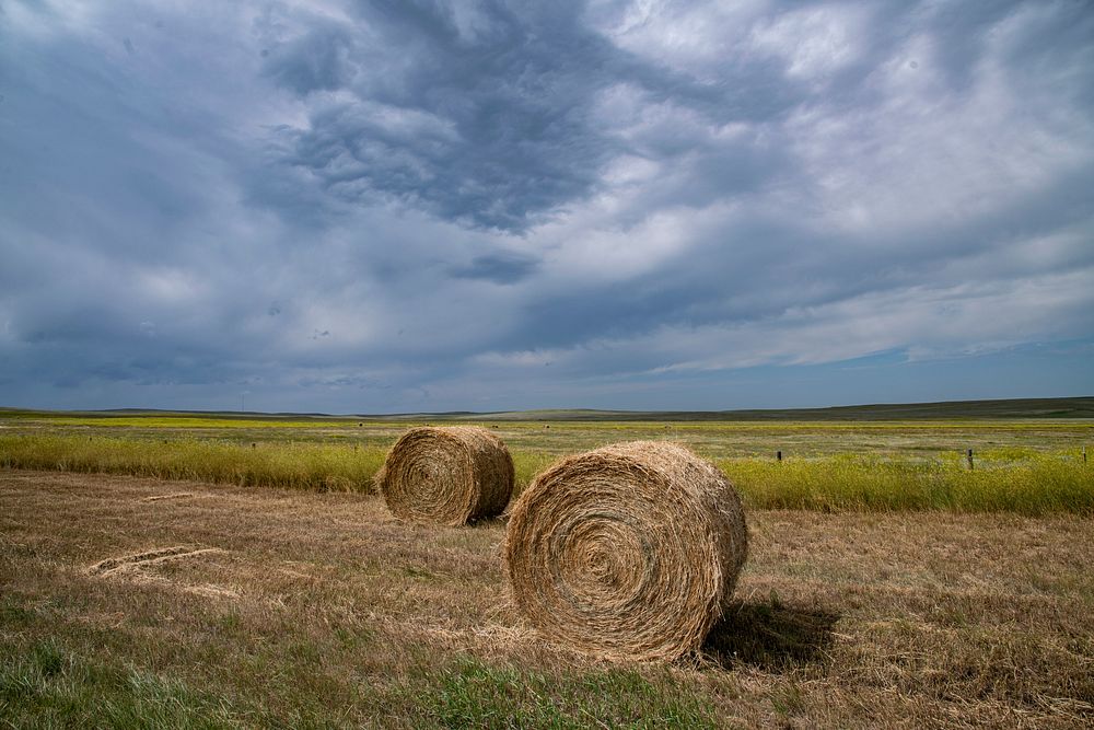 Rolled bales along the roadways, and grassland in and near the U.S. Department of Agriculture (USDA) Thunder Basin National…