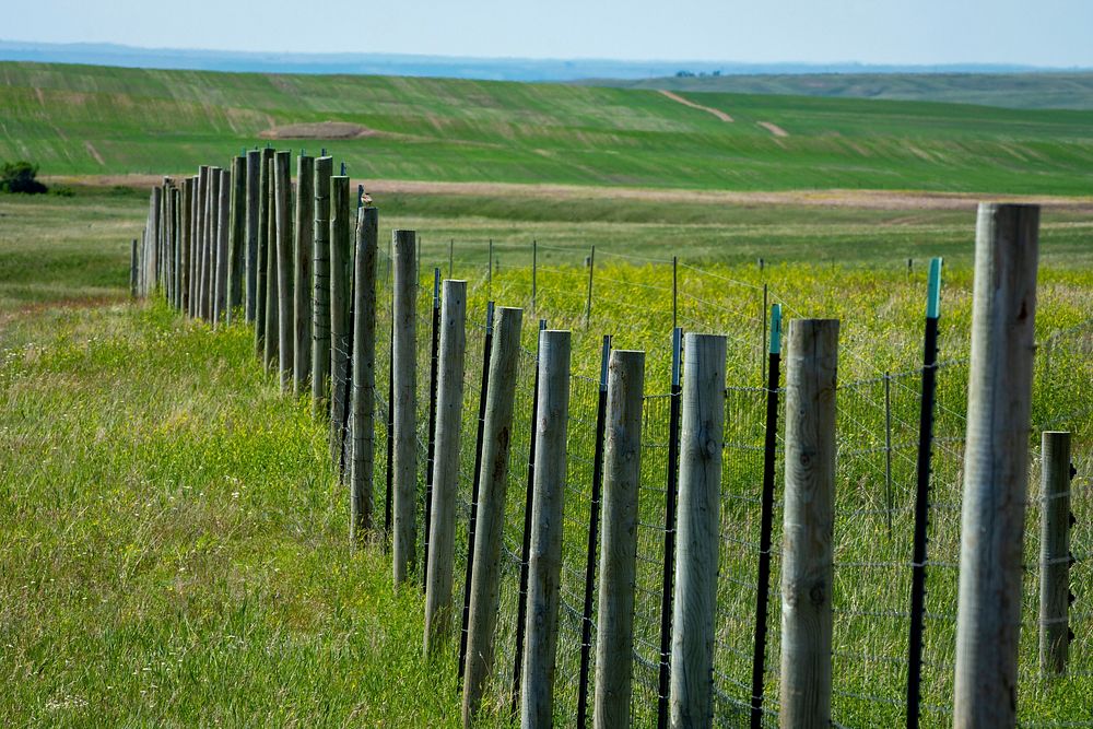 The Fort Peck Tribes Natural Resource Department has been putting up 70 to 100 miles of fence a year for the last five years.