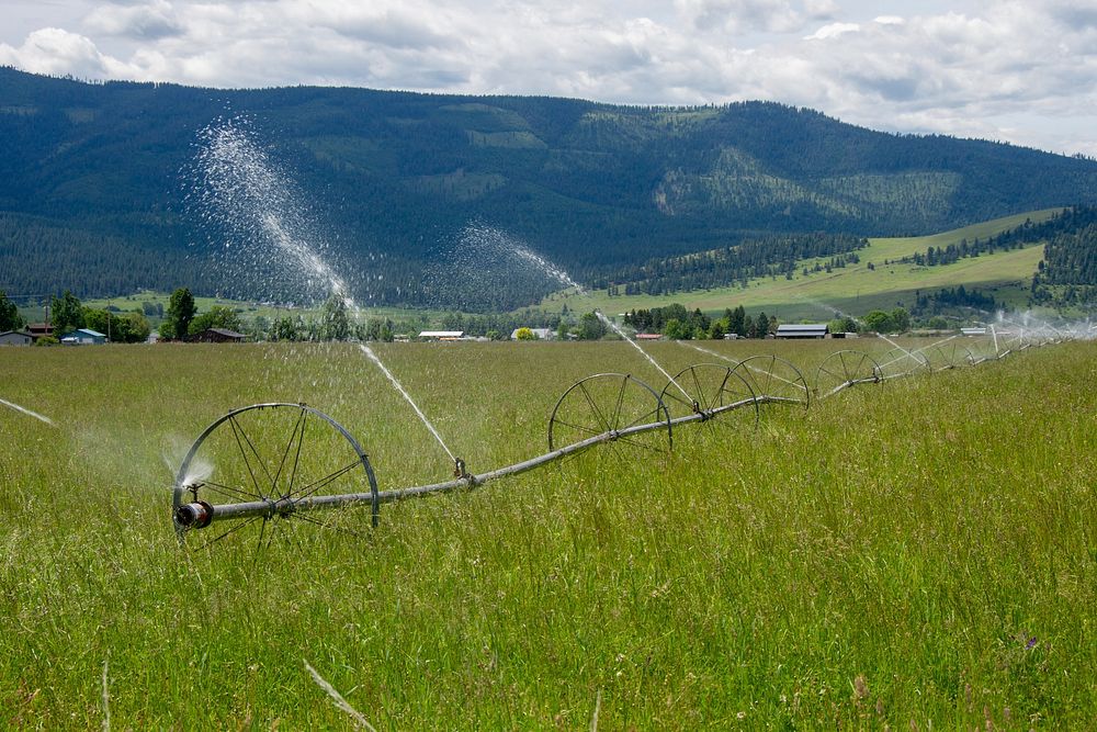 The NRCS worked with Harlequin Produce, a 15 acre organic farm, on irrigation techniques to maintain cover crops. Photo…