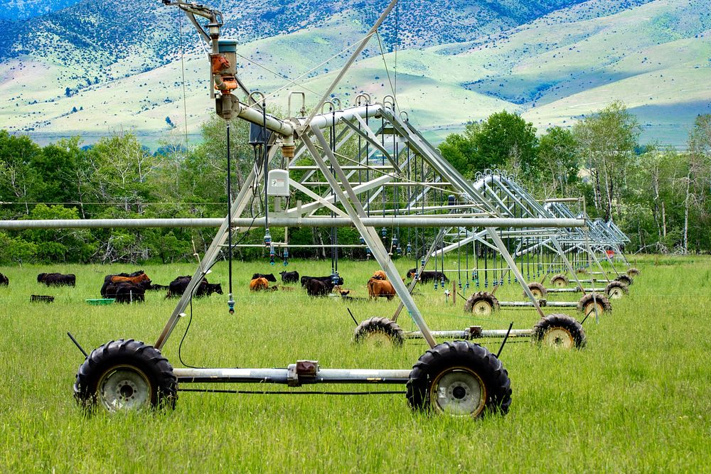 Cattle grazing can be rotated throughout the entire ranch with the help of portable water tanks and underground gravity flow…