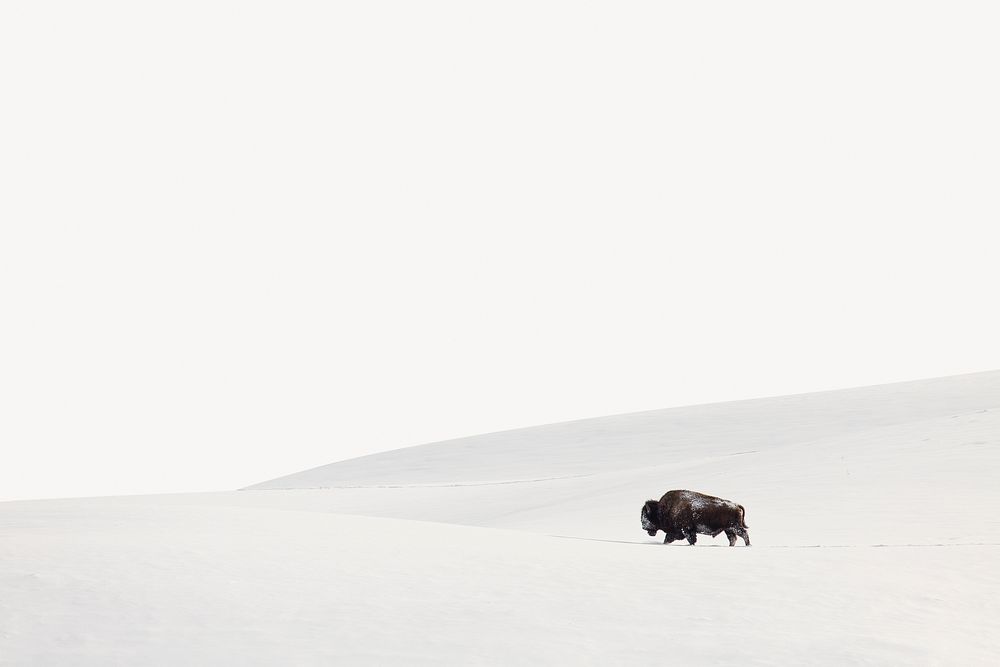 Snowy hill landscape border, nature during Winter psd