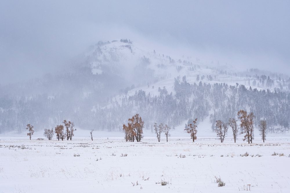 Winter day in Lamar Valley. Original public domain image from Flickr