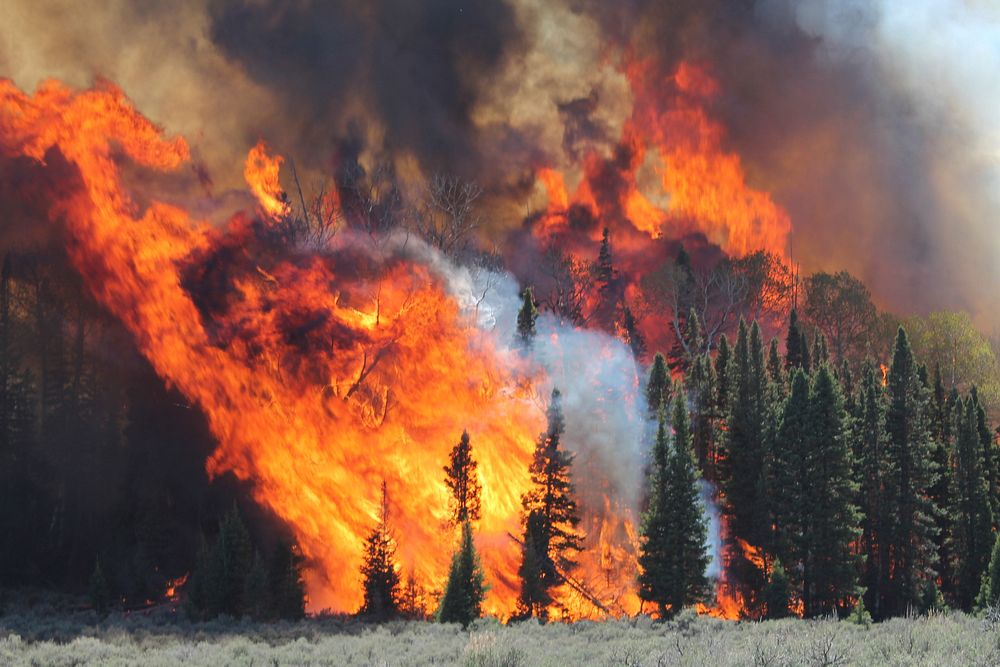 Prescribed fire at Fishlake National Forest, Utah. (Forest Service by John Smith). Original public domain image from Flickr