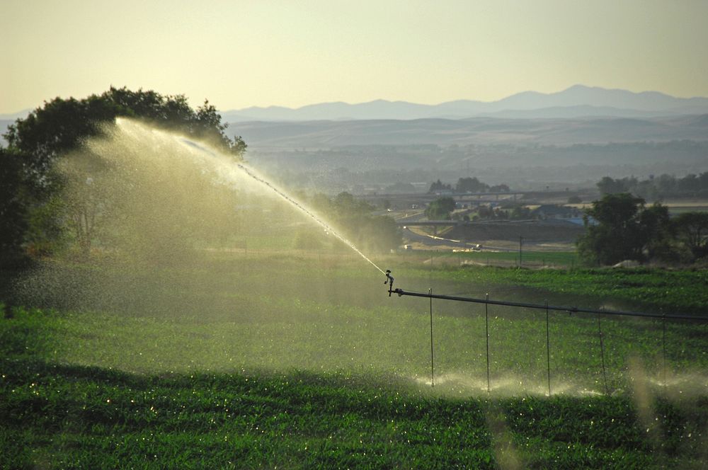 A center pivot irrigation system waters a field in Fruitland, Idaho 7/22/2012 Photo by Kirsten Strough. Original public…