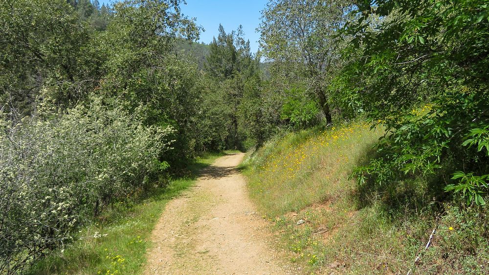 The Old Flume Trail, South Fork of the American River. Original public domain image from Flickr