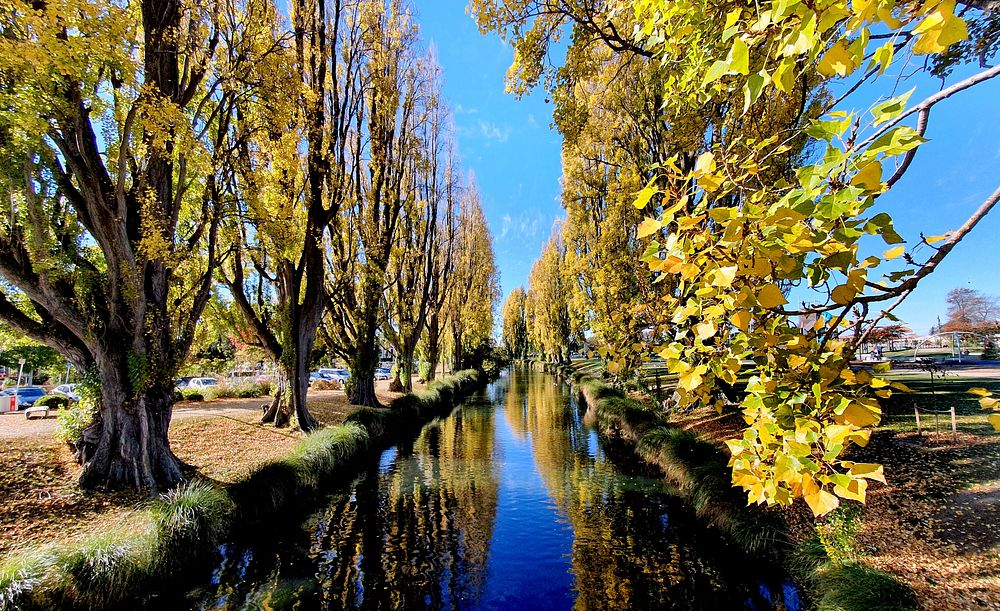 Autumn on the Avon.The Avon River flows through the centre of the city of Christchurch, New Zealand, and out to an estuary…
