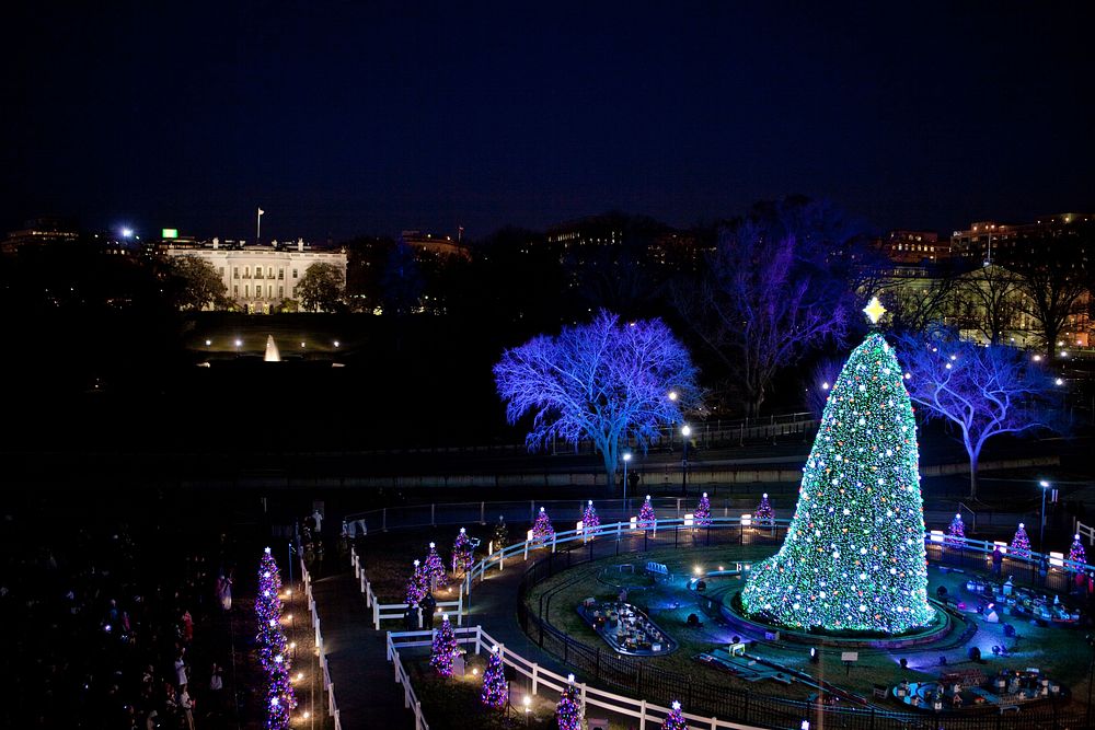 The National Christmas Tree is illuminated on the Ellipse in Washington D.C., Dec. 9, 2010.