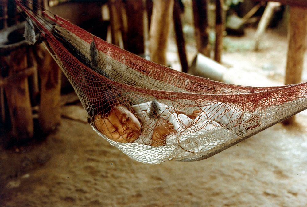 Honduran baby sleepingA Honduran baby asleep in hammock in the villiage of a Volunteer. Original public domain image from…