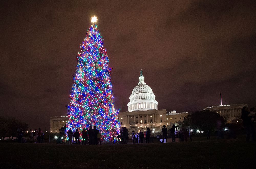 The lights of the 2012 U.S. Capitol Christmas Tree from the Blanco Ranger District of the White River National Forest near…