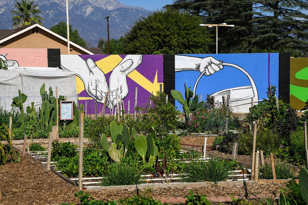 "Wall panels with artwork titled "Manos a la obra" (Hands at work) by Manone line one side of the Community garden plots are…