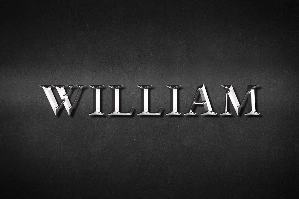 William typography in silver metallic effect design element