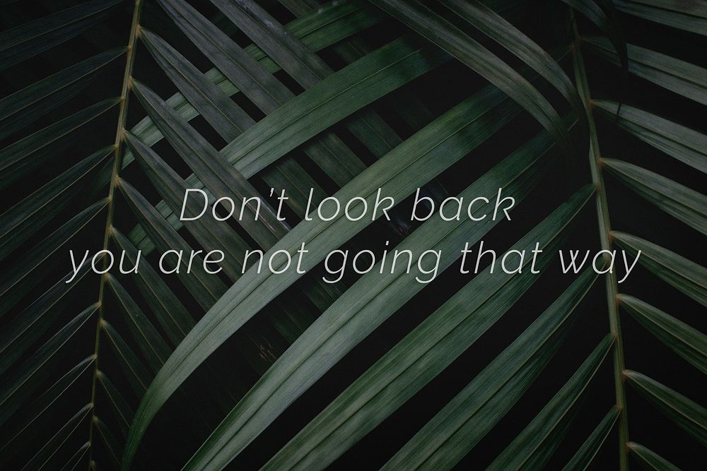 Don't look back you are not going that way quote on a palm leaves background