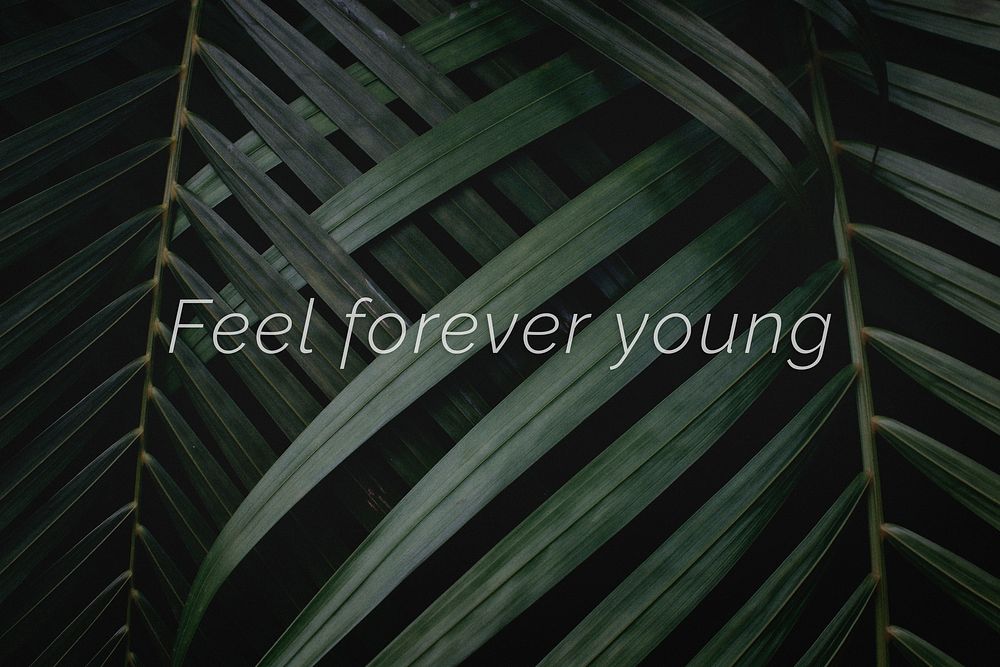 Feel forever young quote on a palm leaves background