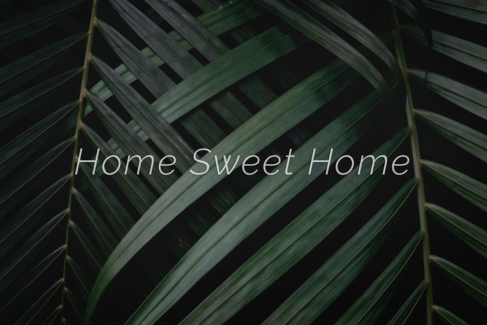 Home sweet home quote on a palm leaves background