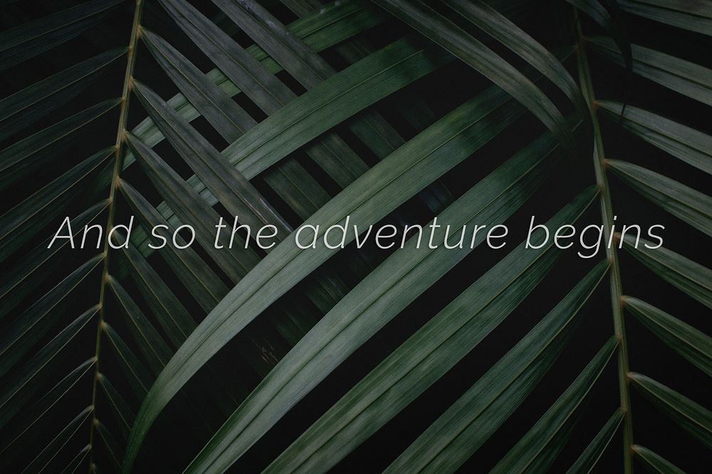 And so the adventure begins quote on a palm leaves background