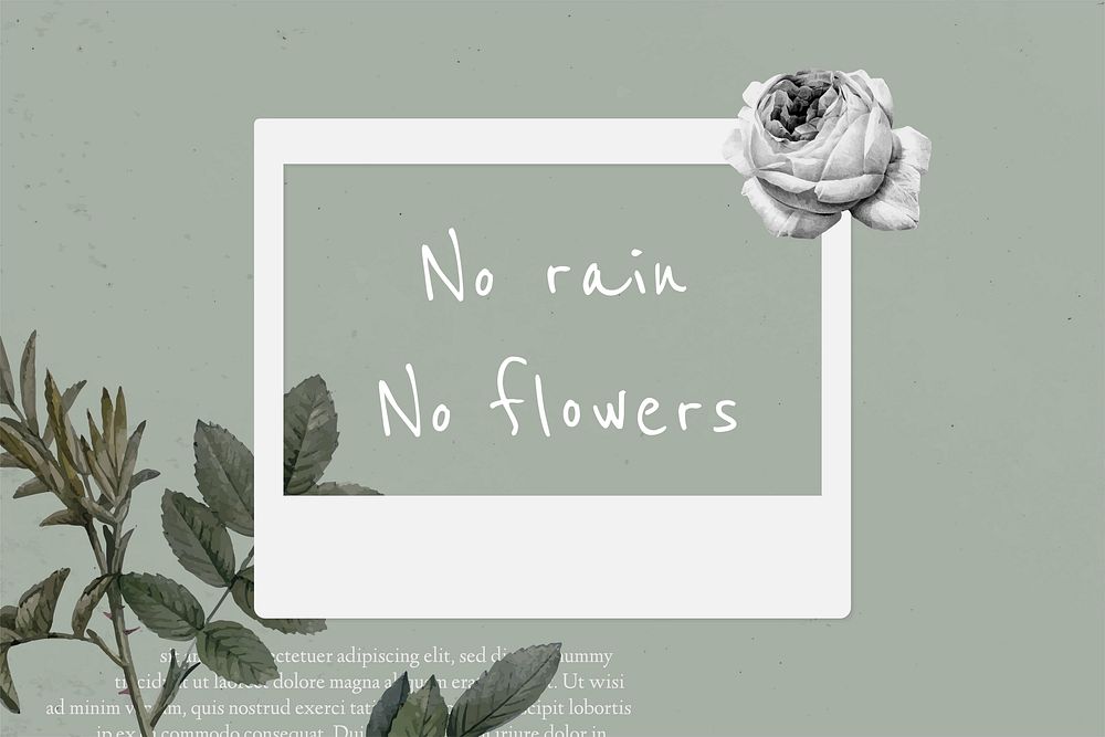 Motivational quote no rain no flowers on instant photo frame