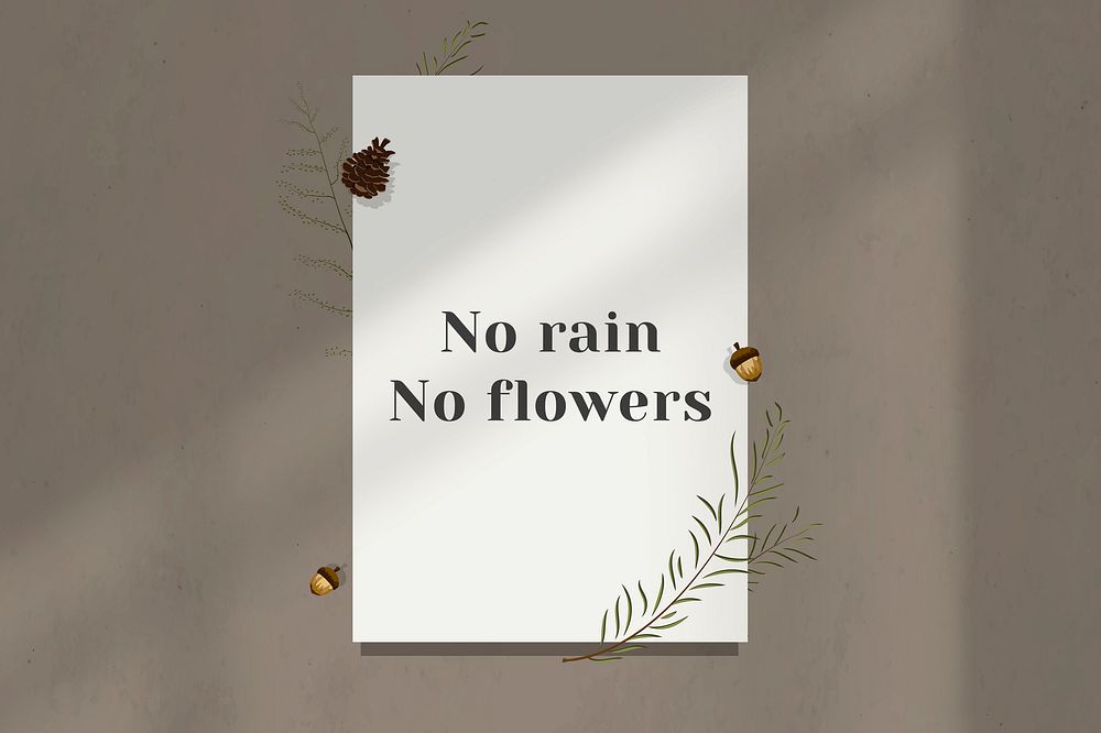 No rain no flowers motivational quote on white paper
