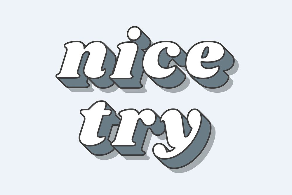 Nice Try word 3d typography vector