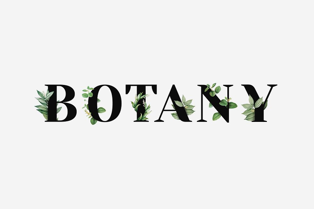 Botanical BOTANY vector word typography