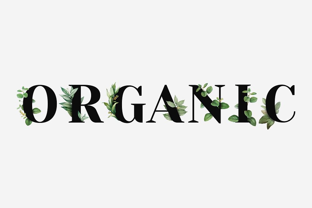 Botanical ORGANIC vector word black typography