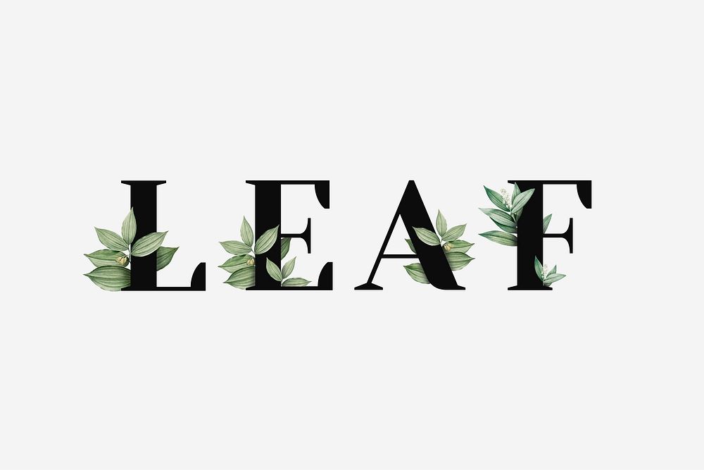 Botanical LEAF vector word black typography