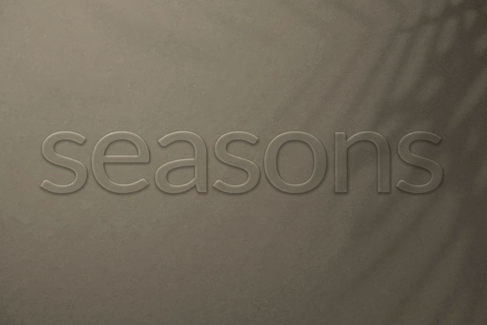 Word seasons embossed font vector typography