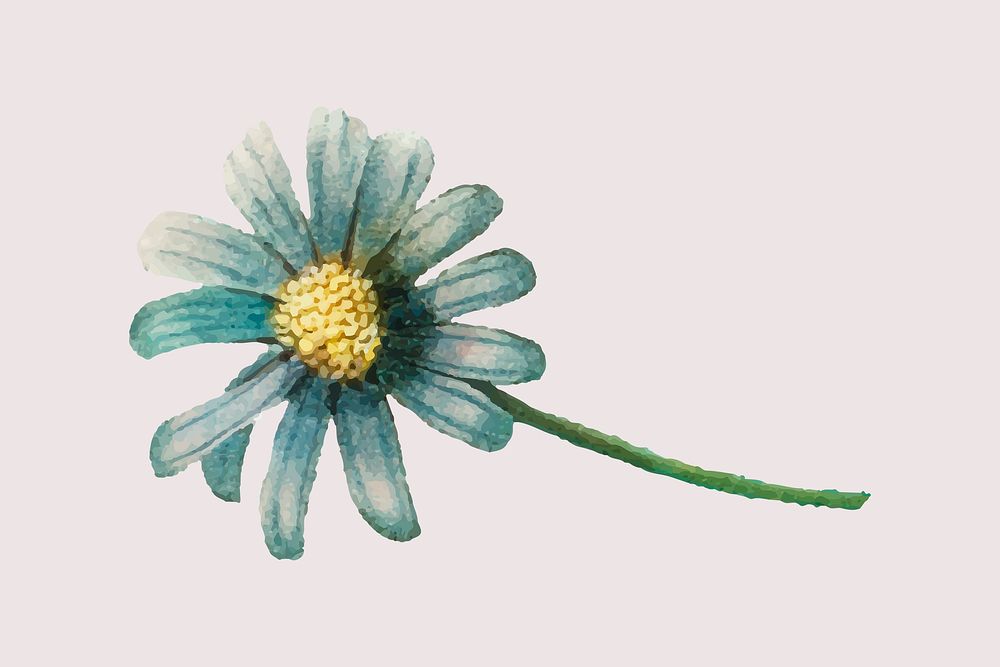 Vintage blue daisy flower hand drawn botanical