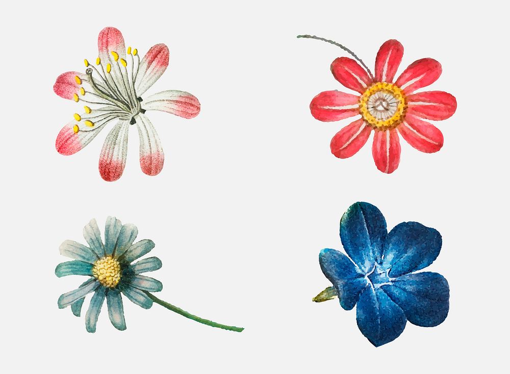 Pink and blue flower vector set vintage illustration
