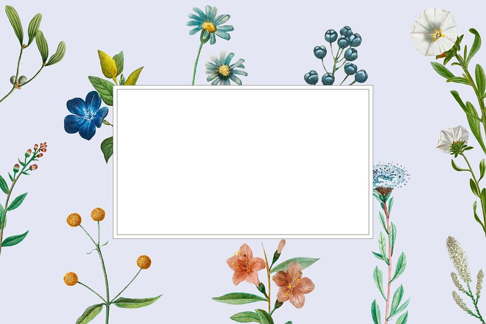 Flower and fruit decorated frame hand drawn