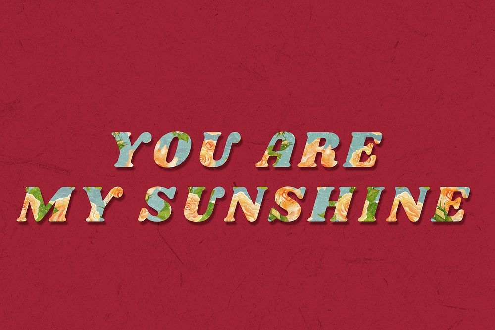 You are my sunshine floral pattern font typography