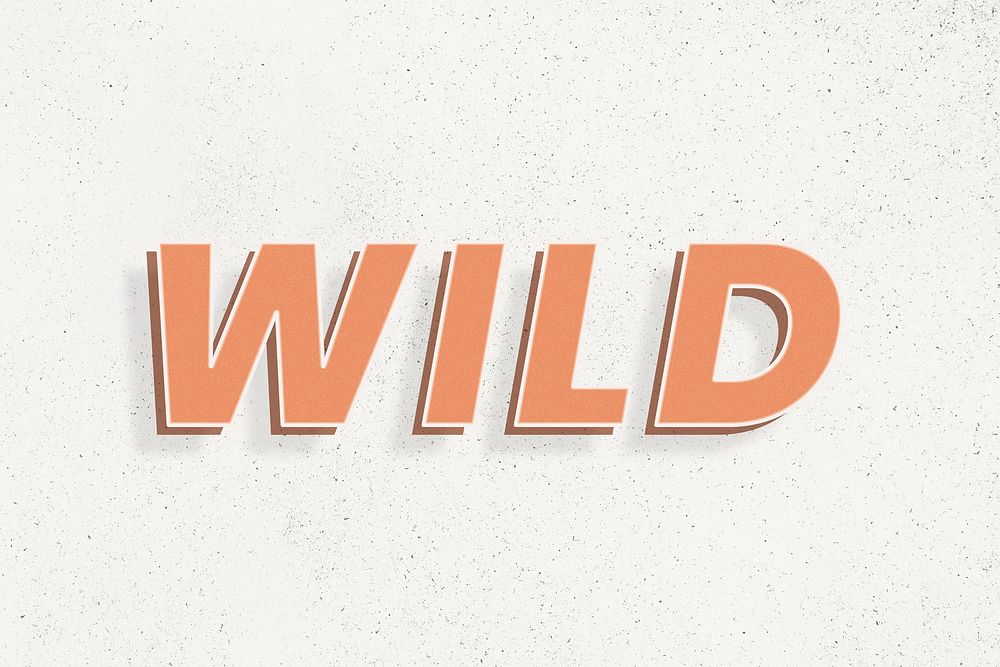 Bold text wild word retro font typography