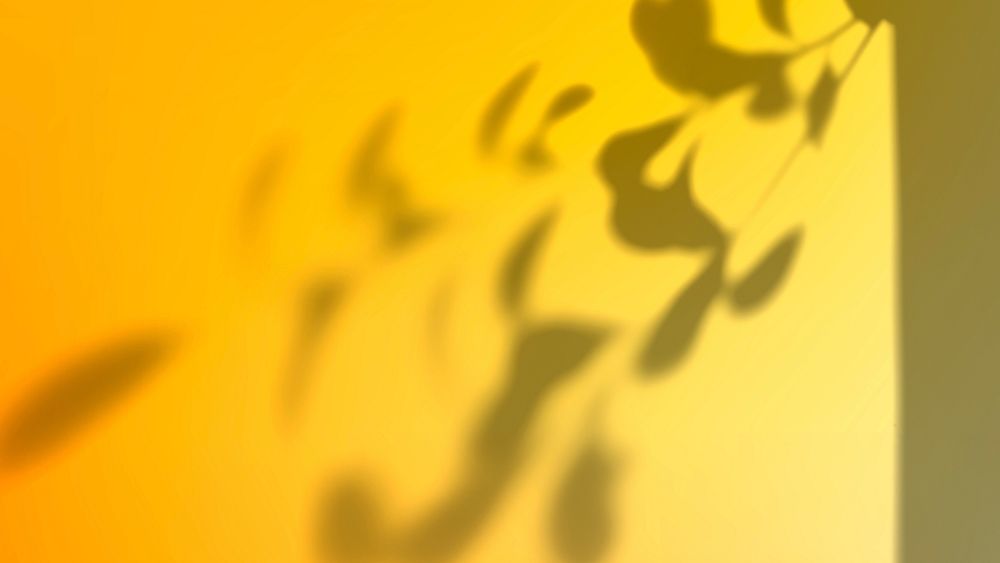Abstract yellow gradient background files with leaf shadow